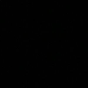 Meet your Posher, Kourtnee